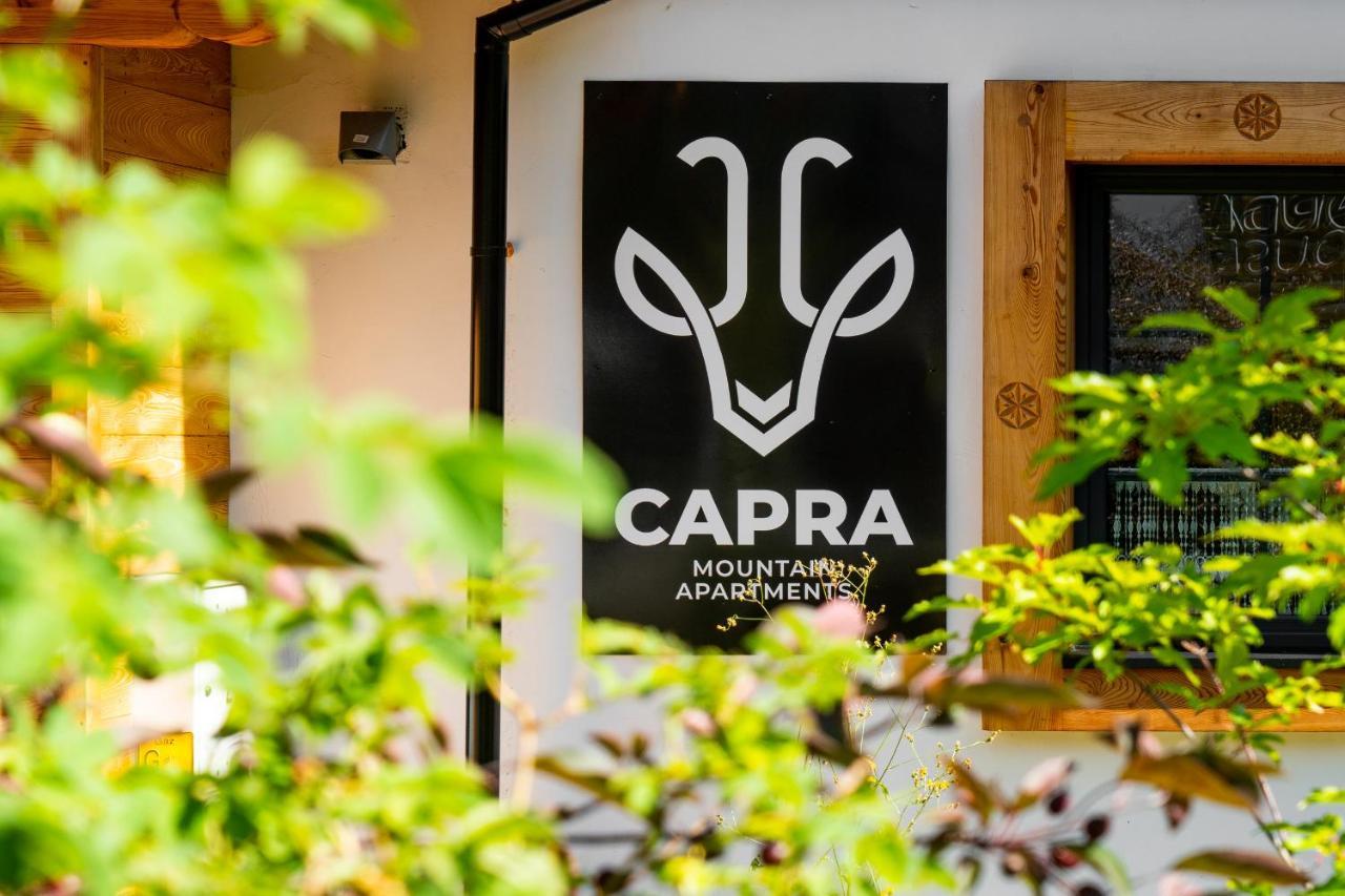 Villa Capra - Apartments Adult Only ザコパネ エクステリア 写真